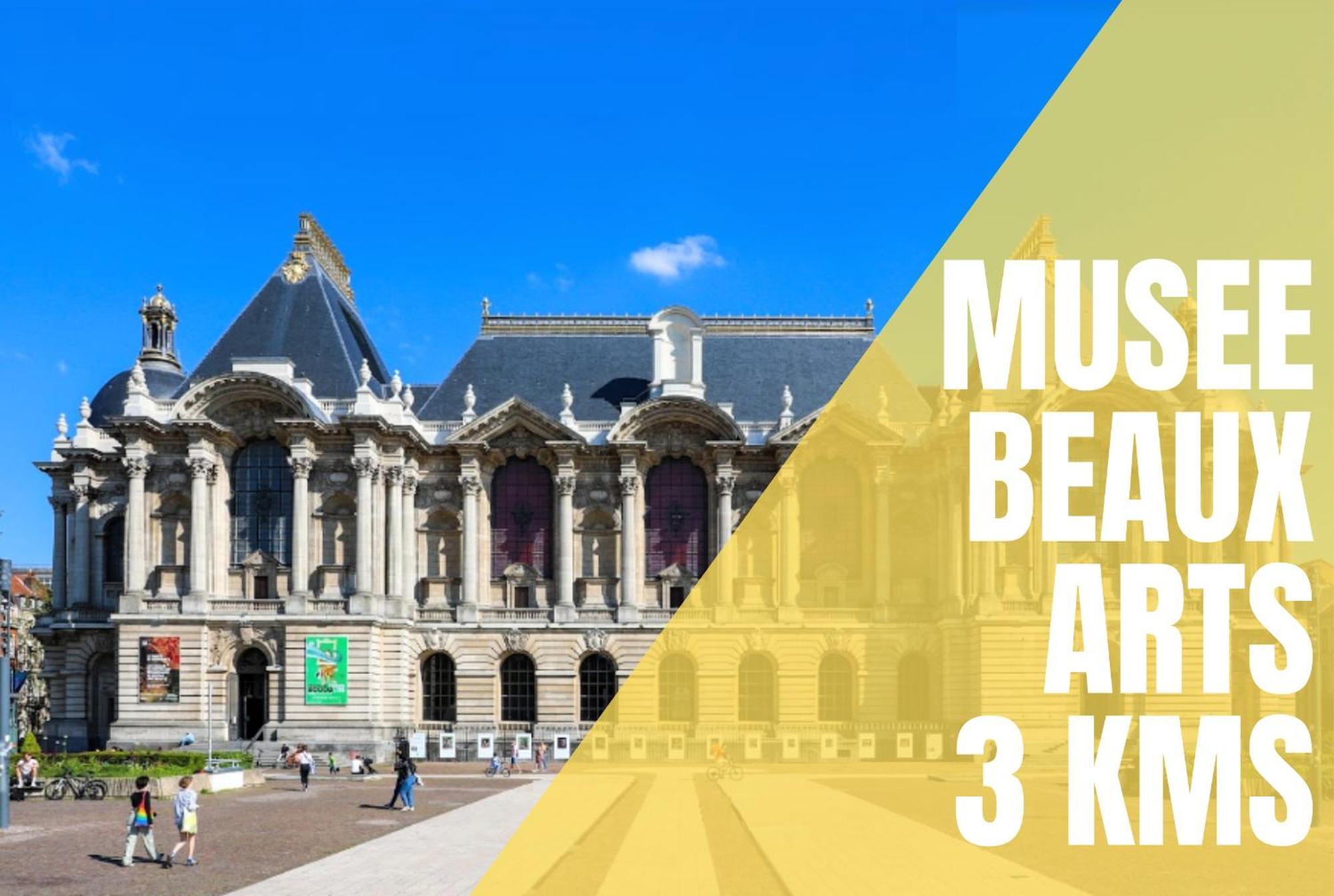Le Chanzy - Les Demeures D'adrien Appartement Lille